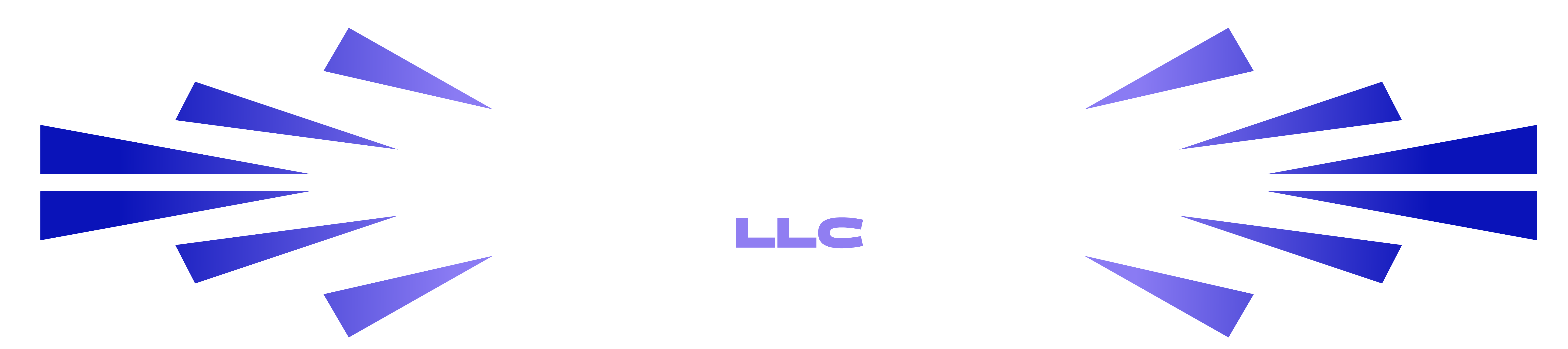 DIOSMINTRAMPORTECHION LLC